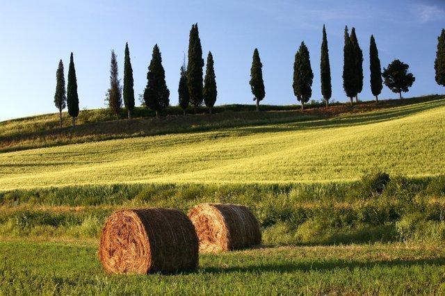 Palazzo Alle Mura Staggia Exteriér fotografie
